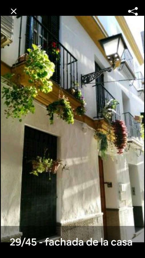 Apartment Oasi Macarena