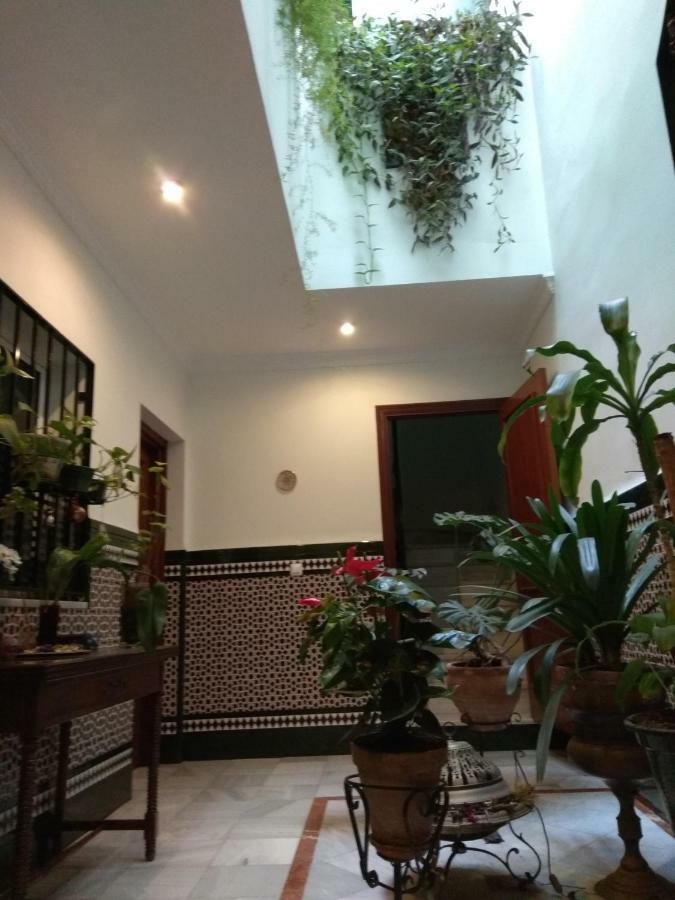 Oasi Macarena Apartment *