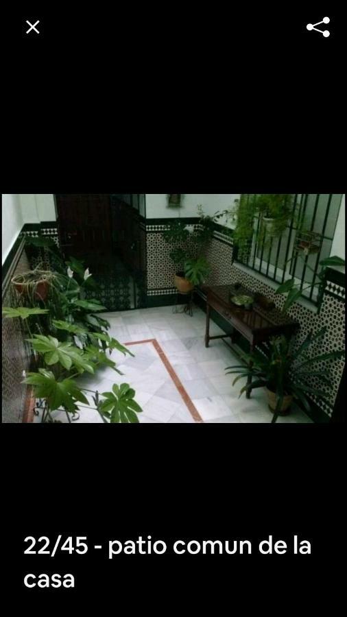 Oasi Macarena Apartment Seville