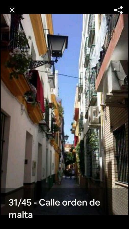 Oasi Macarena Seville