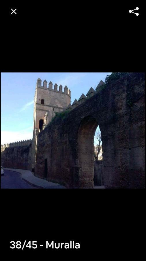 Oasi Macarena * Seville